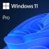 Операционная система Microsoft Windows 11 Pro, 64 bit, Eng, DVD, OEM [fqc-10528]